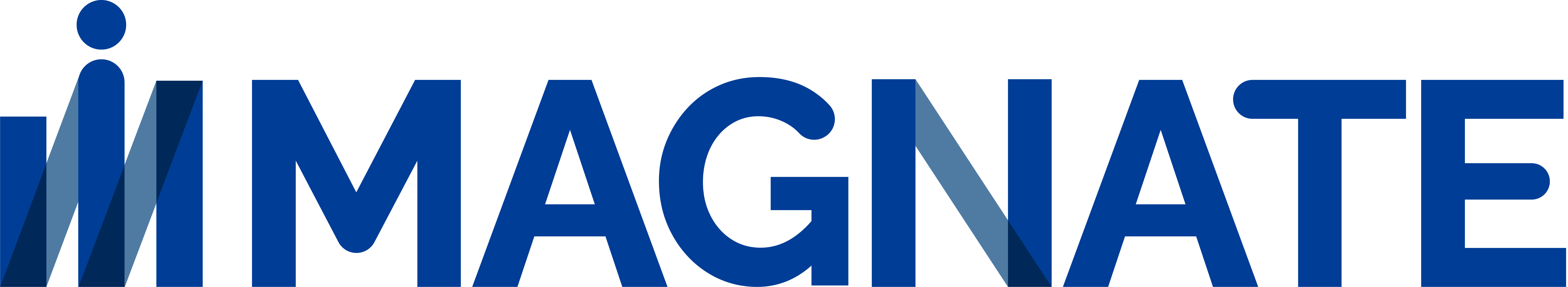 Magnate Holdings